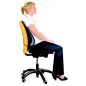   Háttámasz, FELLOWES "Professional Series™ Mesh"
