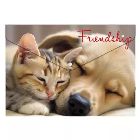   Irattartó tasak, A5 PP, patentos, 180 mikron, PANTA PLAST "Friendship"