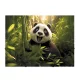 Gumis mappa, 15 mm, PP, A4, PANTA PLAST "Panda"