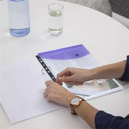 Irattartó tasak, A4+, lefűzhető, patentos, RAPESCO "Eco", áttetsző vegyes színek