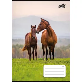   Füzet, tűzött, A5, vonalas, 32 lap, 1. osztály, COOL BY VICTORIA "Free Spirit", "14-32"