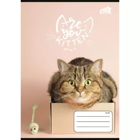   Füzet, tűzött, A5, vonalas, 32 lap, 4-8. osztály, COOL BY VICTORIA "Cats Forever", "21-32"