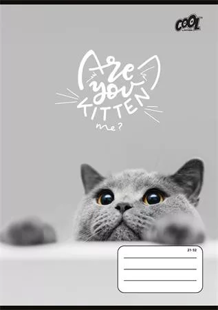 Füzet, tűzött, A5, vonalas, 32 lap, 4-8. osztály, COOL BY VICTORIA "Cats Forever", "21-32"