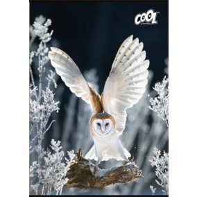   Füzet, tűzött, A4, sima, 80 lap, COOL BY VICTORIA "Wise Wings"