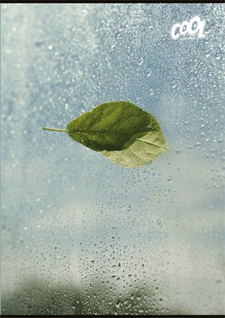 Füzet, tűzött, A4, sima, 80 lap, COOL BY VICTORIA "Green Calm"