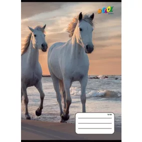   Füzet, tűzött, A5, vonalas, 32 lap, 3. osztály, COOL BY VICTORIA, "Horses", "12-32"