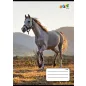   Füzet, tűzött, A5, vonalas, 32 lap, 3. osztály, COOL BY VICTORIA, "Horses", "12-32"