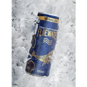 Ásványvíz, szénsavas, 250 ml, FLOEWATER