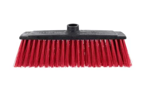 Partvisfej, beltéri, BONUS "Beatrix", vegyes színek