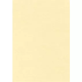   Előnyomott papír, A4, 95 g, pergamen hatású, APLI, pezsgő