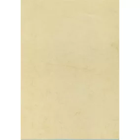 Előnyomott papír, A4, 200 g, APLI, havanna