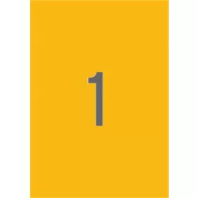   Etikett, 210x297 mm, színes, APLI, neon narancs, 20 etikett/csomag