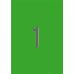   Etikett, 210x297 mm, színes, APLI, neon zöld, 20 etikett/csomag