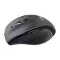   Egér, vezeték nélküli, lézeres, normál méret, USB, LOGITECH "M705 Marathon", fekete