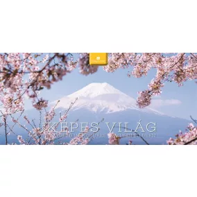 Naptár, asztali, álló, DAYLINER "Képes világ"