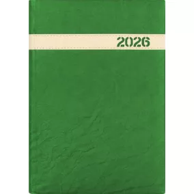   Naptár, tervező, A5, napi, DAYLINER, "The Boss", zöld