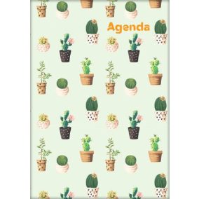   Naptár, tervező, A5, heti, DAYLINER, "Colors", Cactus