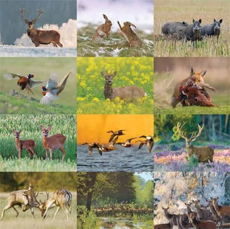 Naptár, fali, CSG "Vadász a Kárpát-medencében"