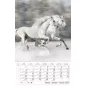 Naptár, fali, CSG "Lovak"