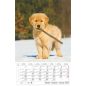 Naptár, fali, CSG "Kutyák"