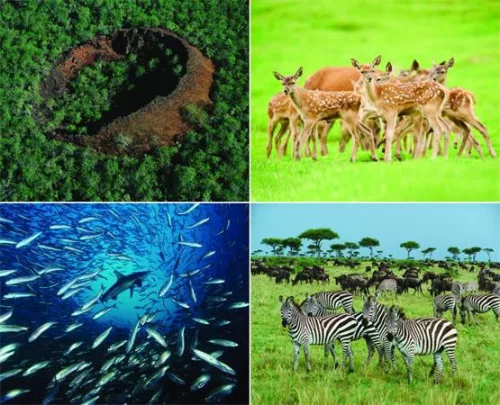 Naptár, fali, CSG, "Csodálatos bolygónk"