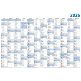 Plakátnaptár, éves, 98x68 cm, DAYLINER