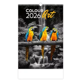 Naptár, fali, DAYLINER "Colour Art"