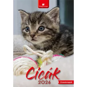Naptár, fali, DAYLINER, "Cicák"