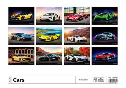 Naptár, fali, DAYLINER, "Cars"