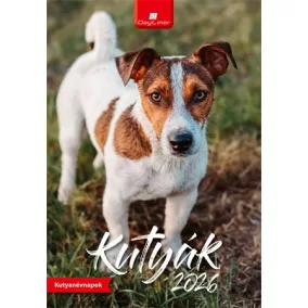Naptár, fali, DAYLINER, "Kutyák"