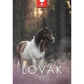 Naptár, fali, DAYLINER, "Lovak"