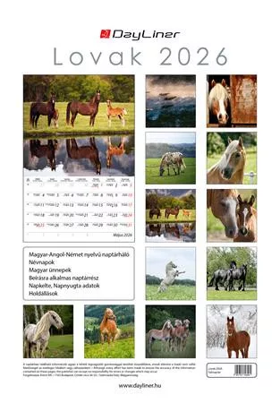 Naptár, fali, DAYLINER, "Lovak"