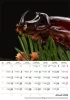 Naptár, fali, DAYLINER, "Macro Lens"