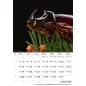 Naptár, fali, DAYLINER, "Macro Lens"