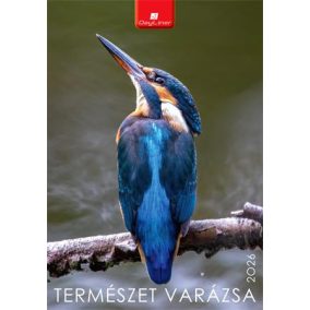 Naptár, fali, DAYLINER, "Természet varázsa"