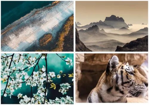 Naptár, fali, DAYLINER, "Természet varázsa"