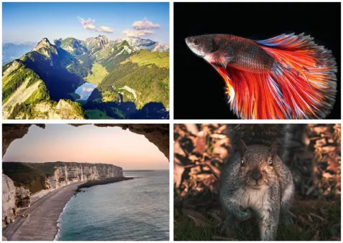 Naptár, fali, DAYLINER, "Természet varázsa"