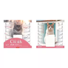 Naptár, fali, mágneses, kétheti, TOPTIMER, cicák