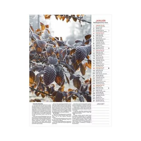 Naptár, fali, TOPTIMER "Kertésznaptár"