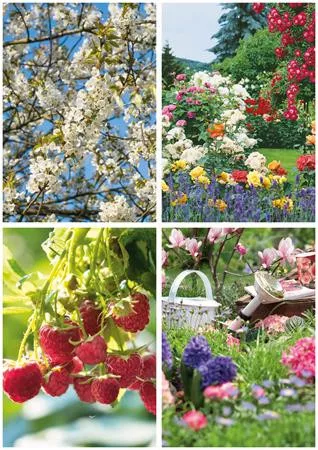 Naptár, fali, TOPTIMER "Kertésznaptár"