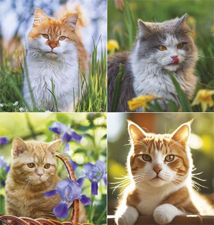 Naptár, fali, TOPTIMER, "Cicák"