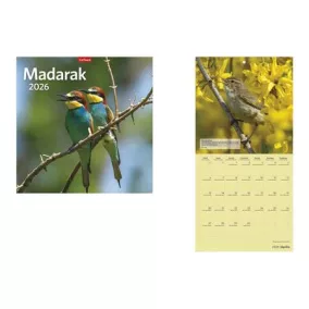 Naptár, fali, TOPTIMER "Madarak"