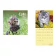 Naptár, fali, TOPTIMER, "Cats"
