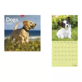 Naptár, fali, TOPTIMER, "Dogs"