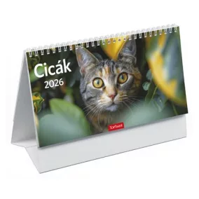 Naptár, asztali, álló, TOPTIMER, "Cicák"