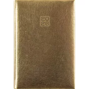   Naptár, tervező, B6, heti, DAYLINER, "Mirror", arany