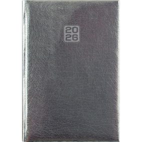   Naptár, tervező, B6, heti, DAYLINER, "Mirror", ezüst