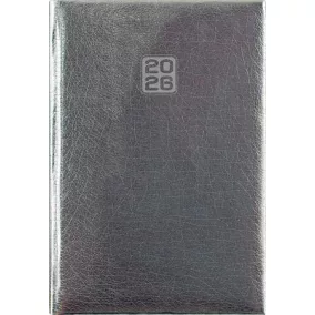   Naptár, tervező, A5, heti, DAYLINER, "Mirror", ezüst