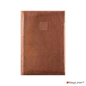   Naptár, tervező, A5, napi, DAYLINER, "Mirror", bronz