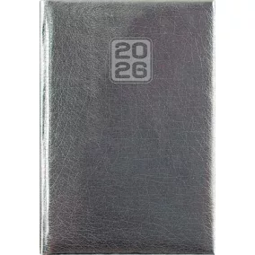   Naptár, tervező, A5, napi, DAYLINER, "Mirror", ezüst